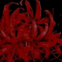 Guest_BrunaMikaelly2