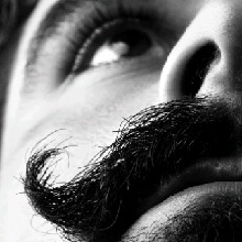 Guest_omar967689