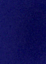 Guest_Ale514490