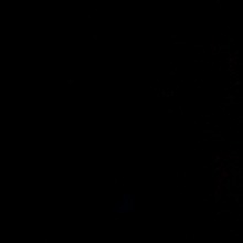 Guest_Dark428578