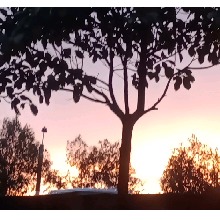 Guest_PatriciaGonzales
