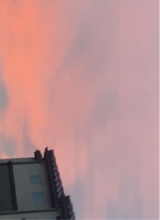 Guest_lysssa1