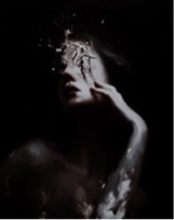 Guest_vk0033