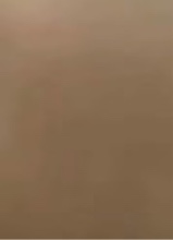 Guest_jayyyyy294278