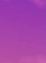 Guest_wonderfultechnet494a