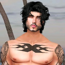 Guest_Ronnie683595