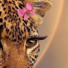 Guest_Rayssa837654