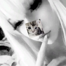 Guest_ellyyxzz