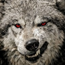 Guest_DanielFerreira7