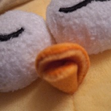 Guest_Nikkibikkie