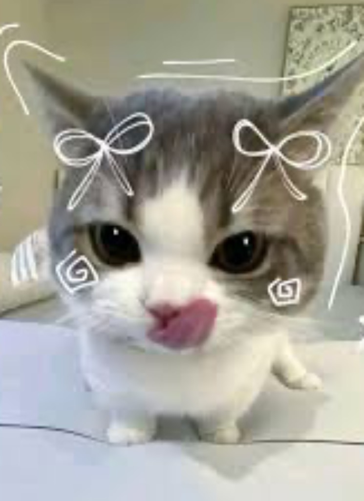 Guest_haley001