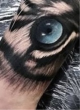Guest_MtheBrn1