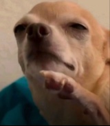ChadWinston