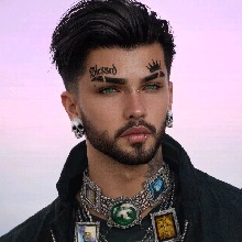 knightravenofpeace