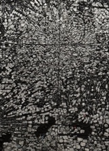 Guest_Garifallia1
