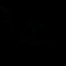 EE899070