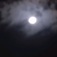 Zyef