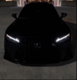 Guest_MagicMike230
