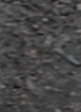 elxi21