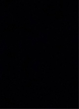 Guest_POOK23