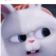CunySeth
