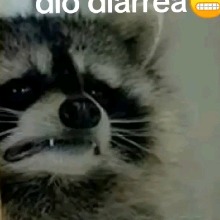Guest_colinaS