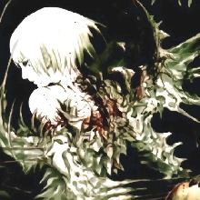 Guest_revonii