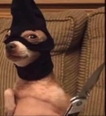 Guest_XPapiGioX