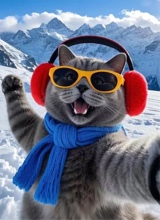 foto del avatar