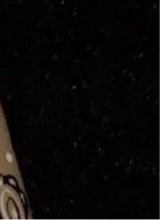صورة الـavatar