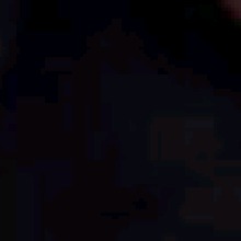 Akaarii